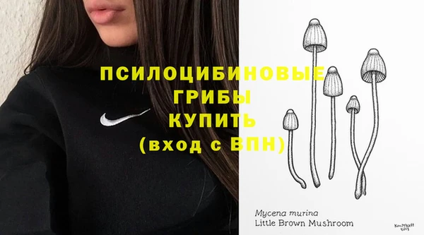Альфа ПВП Балахна