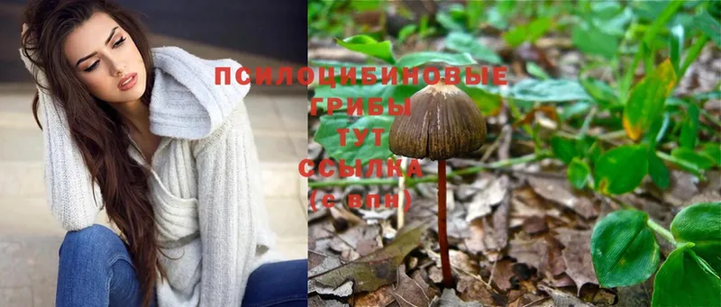 Галлюциногенные грибы Magic Shrooms  Кузнецк 