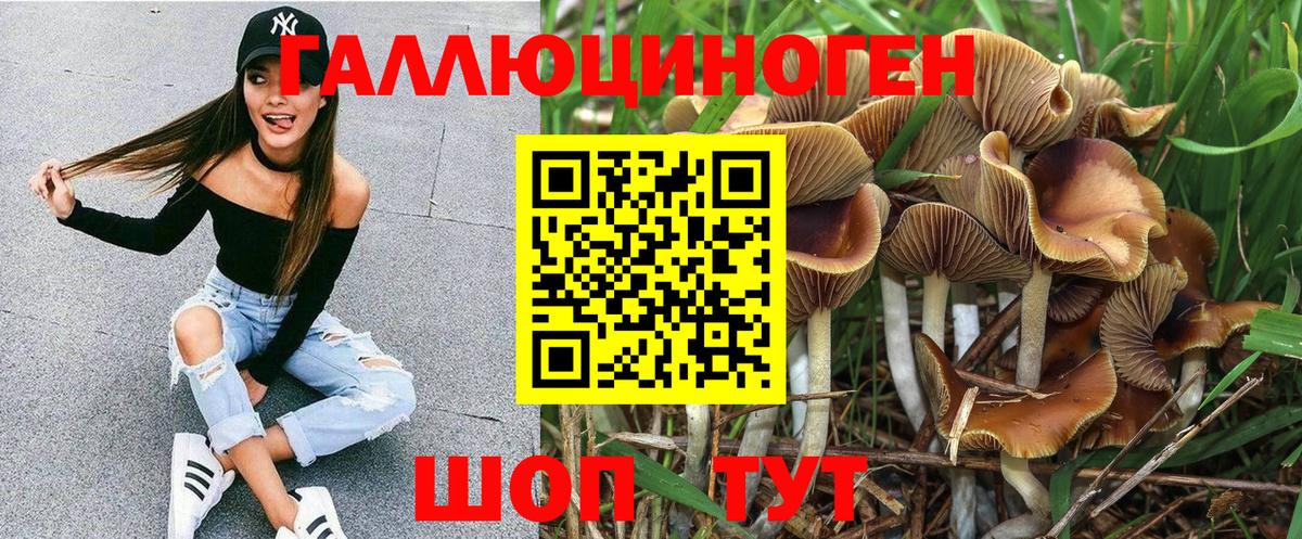 где найти наркотики  Вход с VPN  Кузнецк  Псилоцибиновые грибы Psilocybine cubensis  Псилоцибиновые грибы Cubensis 