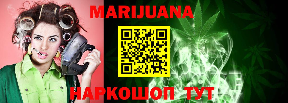 Конопля сатива Кузнецк